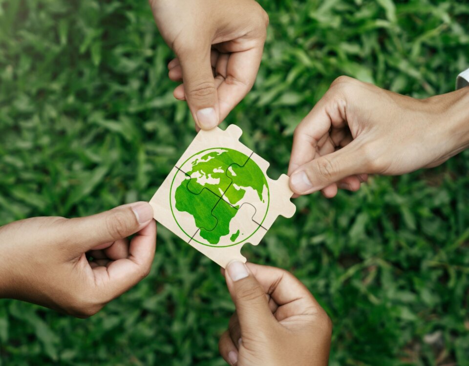 Legal Island Leading with Purpose: Environmental, Social, and Governance Values 